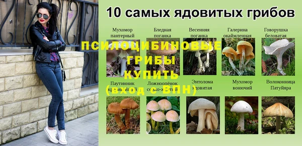 spice Медногорск