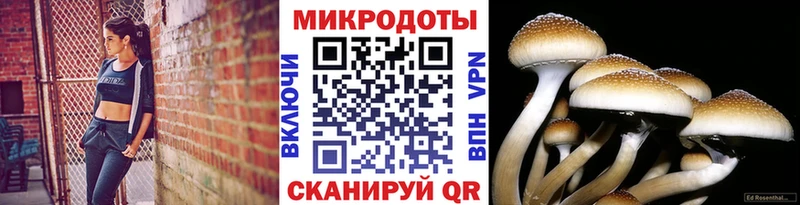 Галлюциногенные грибы MAGIC MUSHROOMS  Купить закладки  Надым 